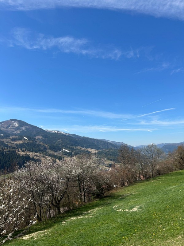 Appartamento Vacanze / Flat / Wohnung zu vermieten a Tesero - Signora Paola - Via Arlazza 21 - Tel: 3487797595